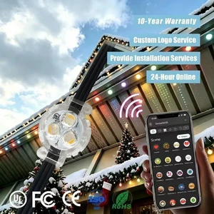 UL CUL 12V 24V 36V Eave Pixel Point Light Smart App Controller IP68 Permanent Outdoor Rgbw Christmas Lighting For Home