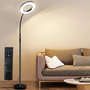 Factory Price 3000-6000K CCT Adjustable Standing Lamp with Remote Push Button Moren Black Sofa Reading Floor Lamp