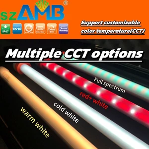 Led Light for Poultry Farm Poultry Light Farm Professional Lighting Waterproof Light Bird Cage Lamp on a Chain IP67