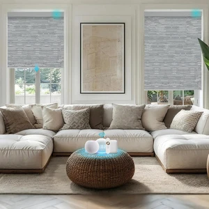 Custom Logo Cordless WiFi Tuya Google Assistant Motorized Blackout Roller Blind Electric Smart Roller Shades For Home Office