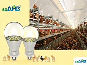 LED Poultry Farm Light, Crown Bulb, Aluminum, 130lm/W, 2700K-6500K, IP66, Dimmable 0-100%, 9W