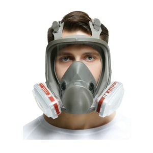 Dust-proof and Gas-filtering Dual-purpose Protective Full-face Mask for Painting