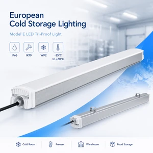 Energy Saving LED Tri-Proof Light For Cold Storage Facilities 100/130lm/W Industrial Lighting Solution