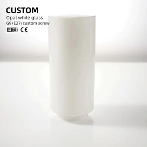 White Frosted Glass Shade Replacements for Pendant Light Fixtures Fitter Replacement Lamp Globe for Chandelier Wall Light Sconce