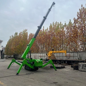 3 Ton Crawler Spider Crane Hydraulic Boom Lift Fly Jib Telescopic Small Spider Crane Factory Price