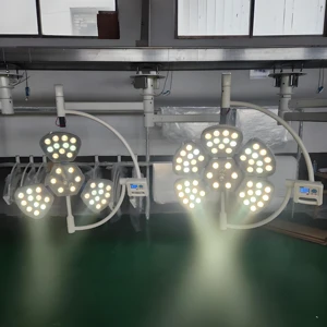 Medical Multi-purpose Flower LED Operation Shadowless Lamp Durable Surgical Double Dome Operating Light