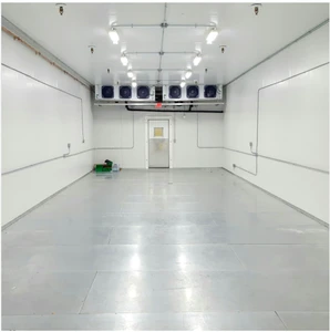 Steel Structure Frozen Beef Cold Storage Cold Chain Cold Warehouse Supplier