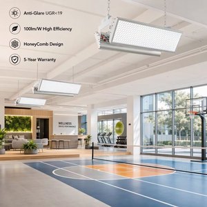 Ledmic 50W 100W 150W 200W High End Corporate Gym Light MLL Linear High Bay Leisure Center Wellness Project Consultant