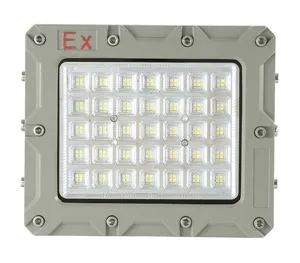 Shockproof IP66 LED Explosion Proof Light Emergency-Ready Gas Station Lighting OEM ODM