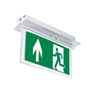 Competitive Price Rechargeable Recessed Escape Led Emergency Exit Light