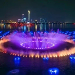 2026 Commercial Outdoor Music Water Fountain DMX512 Control Panel Stainless Steel Construction RGB Lighting for Lake Pool Shows