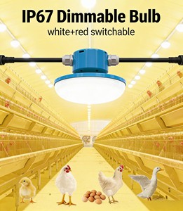 Switchable Spectrum LED Light for Poultry 9W 15W Red+White 2700-6500K AC/DC IP67 for Free-cage System