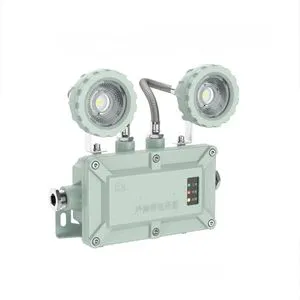 ATEX Approved IP65 Explosion Proof Adjustable Double Heads Rechargeable Led Emergency Lights