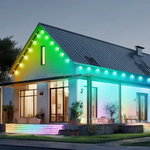 Gemstone Lighting DC12V 30mm IP67 RGBW Permanent Outdoor Lights with Track for Christmas decoration