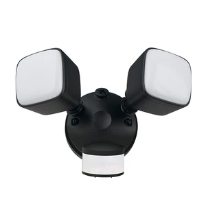 Modern Smart Led Night Light Security Motion Sensor Light Outdoor Lamp for Garage