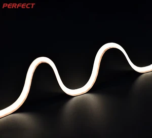 Universal 8mm SOB LED Strip With Remote Control 24V Warm White 5M Length For Landscape & Garden Lighting Projects