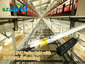 Chicken Coop LED Light T5/T6 Flicker-free 2700K-6500K IP67 Waterproof 0-100% Dimming 4ft 5ft 6ft Barn Use