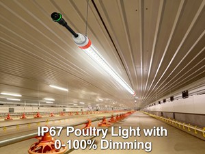 LED Poultry Light T8 Tube Flicker-free Dimming Red+White Switch IP67 3ft-5ft 130lm/W 2700K-6500K