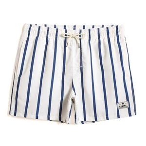 Wholesale Men's Quick Dry Sports Shorts Vertical Striped Swim Trunks Mesh Inner Liner Short Loose Elastic Waist Surf Shorts