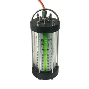 Factory Wholesale 110V US Standard LED 1000W Fishing Light