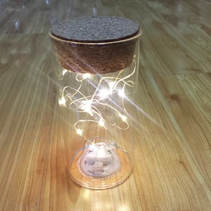 LED Light Cylinder Glass Dome