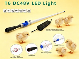 Light for Poultry T5/T6 Tube DC48V 4ft 5ft 6ft Flicker-free 0-100% Dimming 5-Years Warranty