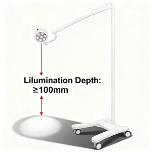 LK Medical Emergency Electric LED Surgical Operation Light Mobile High Illumination 25000Lux 3-Year Warranty