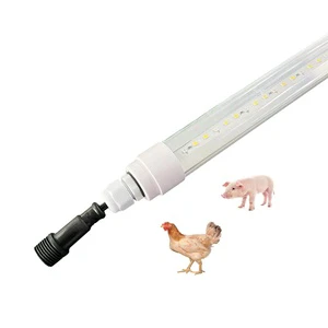 48v Poultry Broiler Lighting Led Lamp System for Broiler Layer Chicken Shed Farm
