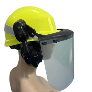 Low Temperature Resistant Transparent Protective Mask FC45N Face Screen, Welded, Polished, Impact Resistant, Splash Proof