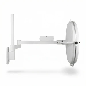 Modern Animal Clinic Mounted Shadowless Lighting System Wall Surgical Light For Pet Surgery And Health Care Applications
