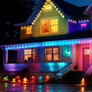 Permanent Outdoor Eave Lights RGB LED Smart House Lights Waterproof with Remote
