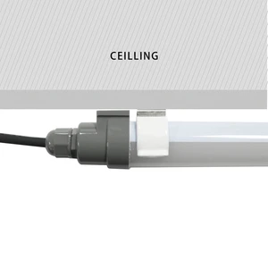 Led Lighting for Poultry House Poultry Farm Light Led Regulated Led Tube for Chicken Coop