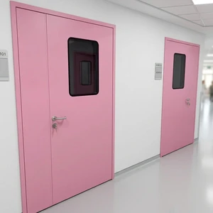 Unequal Double Door Steel Cleanroom Door Airtight Interior Finished Hospital Laboratory GMP Clean Room Project Chinese Thermal