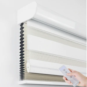 Custom Day Night Living Room Electric Window Shades Remote Control Motorised 2 In 1 Blackout Double Roller Shades For Bedroom