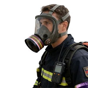 Industrial Full Face Gas Mask