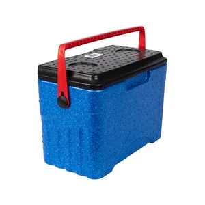 Portable Temperature Display EPP Foam Insulated Cooler Box Leakproof Thermal Storage Ice Chest With Light