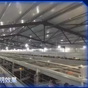 Dimmable Waterproof Broiler Chicken LED Lighting System New Poultry Lighting System Made of Plastic with 1 Year Warranty