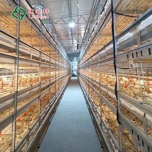 Hot Sale Automatic Chicken Feeder Poultry Farming Equipment Chick Battery Broiler Cage For 10000