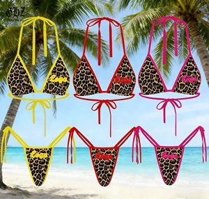 Swimsuit Bikinis Custom Logo Beachwear Swimwear Ladies Bathing Suit Women's 2-Piece Quick Dry Summer Beach Cheetah Bikinis Set