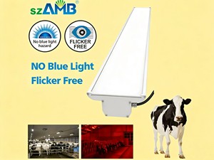 High Bay Light ZLC IP66 Linear Highbay Light 200W 170lm/w 0-10V Dimming Emergency Function 5-Years Warranty