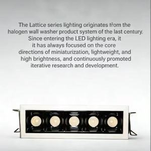 Custom Lattice Grille Light Custom Wattage Industrial & Commercial Dual-Use Light