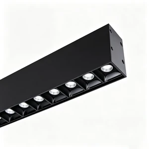 New Arrivals Grille Light Adjustable Module Frame Moving Head Spot Track Linear Light Indoor 2*10W Led Downlight