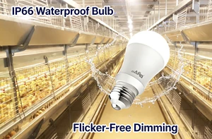 LED Poultry Farm Light, Crown Bulb, IP66, Flicker-Free, Aluminum, 130lm/W, 0-100% Dimming, Chicken Light