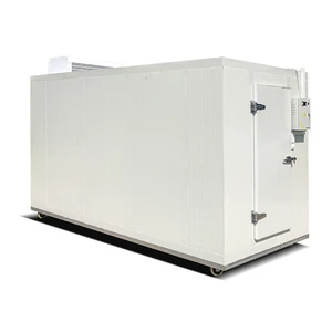 Commercial Mobile Cold Room Freezer Container 10-40 Ton Chiller Room Cold Storage Easy To Operate Compressor