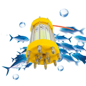 Luminous Fishing Lights Night Fluorescent Fishing Lights 220V 1000w 2000w on Boat Luring Fishes