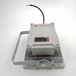 40W Maintenance-free LED Flood-proof Explosion-proof Lights for Hazardous Explosion Environments in Zones 1 and 2