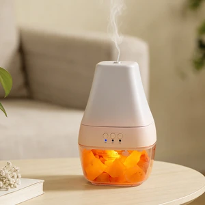 Plastic Eco-Friendly Decorative Aroma Diffuser Himalayan Salt Lamp Design Portable Ultrasonic USB-powered LED Lighting Timing
