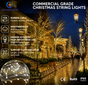 Manufacturer Custom 110v/220V LED String Lights Outdoor Waterproof Fairy Light String for Christmas Event Center Party Decor