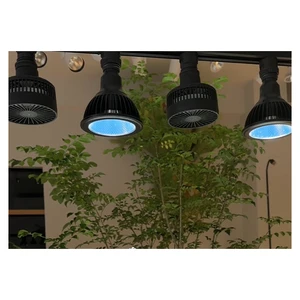 BARREL Splendid First Class 3 Ampere AC100-240V Input Voltage Bulb Socket-5-E26 Screw Style 400g Load Capacity for Lighting