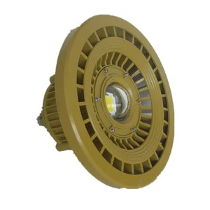 20W-300W Maintenance-free LED explosion-proof lights